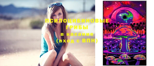 тгк Вяземский