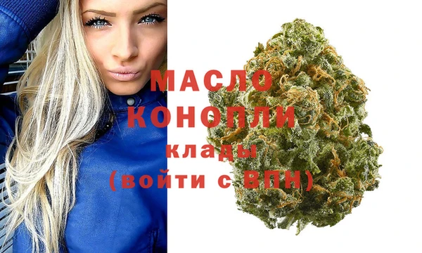 spice Гусев