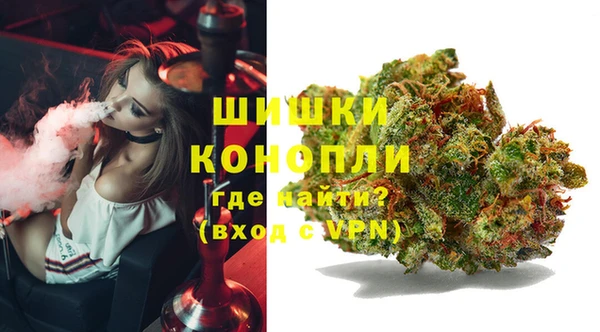 spice Гусев