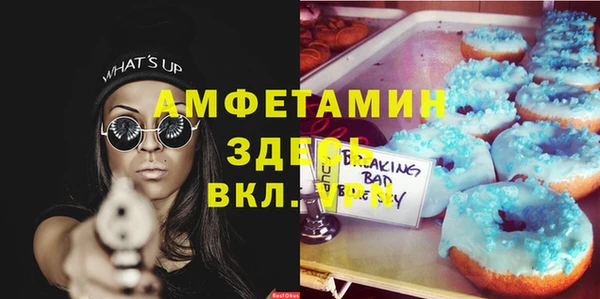 spice Гусев