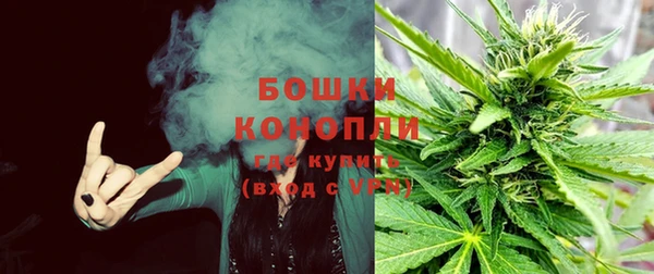 сатива Вязьма