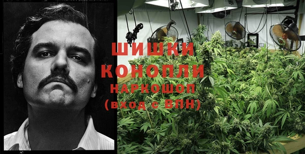 сатива Вязьма