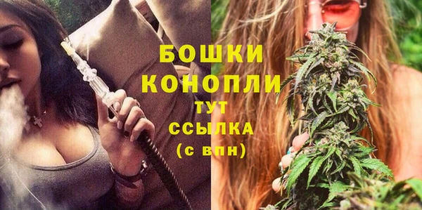 сатива Вязьма