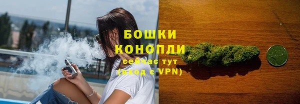 spice Гусев