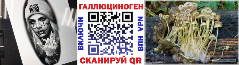 Галлюциногенные грибы мицелий  Железногорск-Илимский 